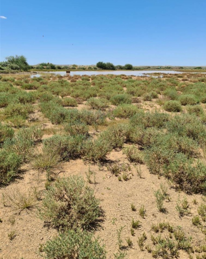 Commercial Property for Sale in Brandvlei Northern Cape